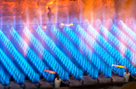Freiston gas fired boilers